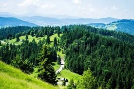 Radauti Moldovita area